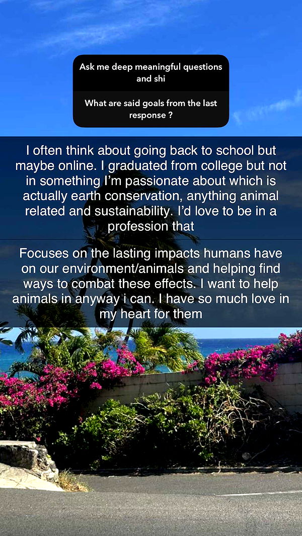 soph4ocean image ~ Altpins