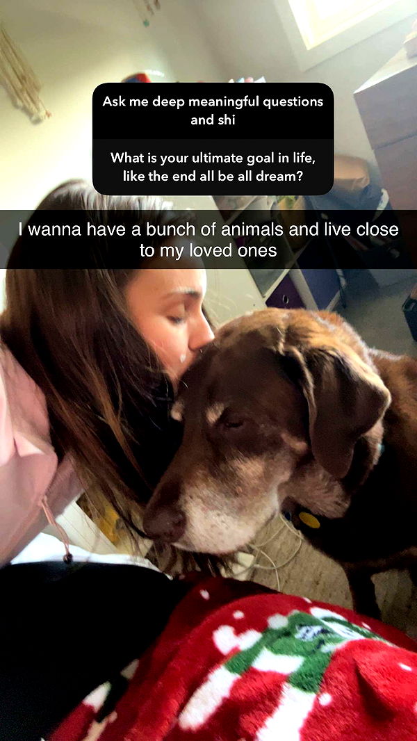 soph4ocean image ~ Altpins