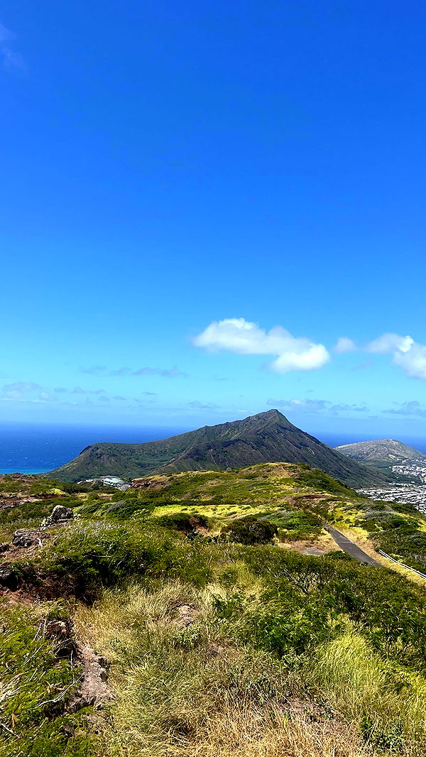 soph4ocean image ~ Altpins