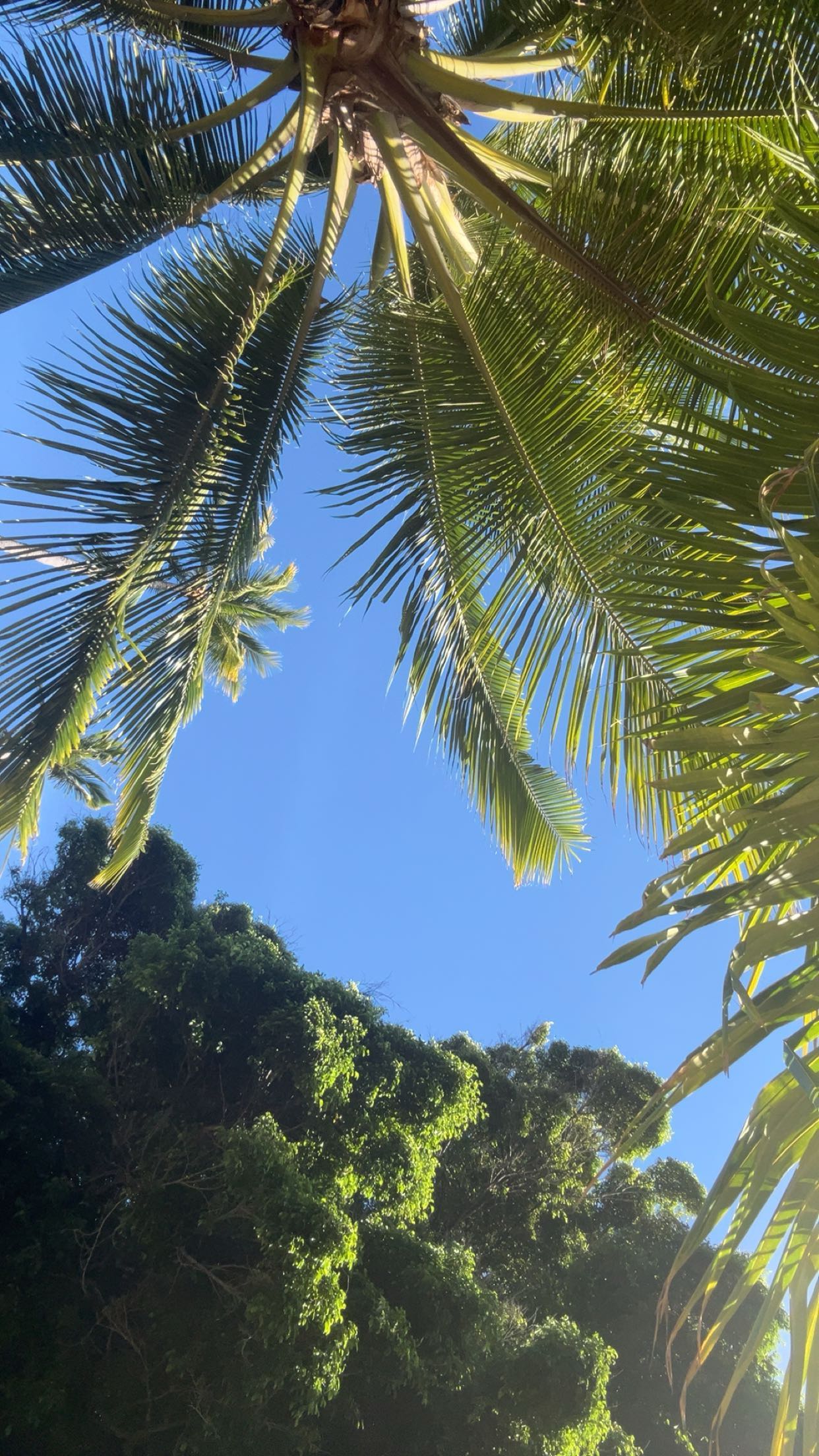 soph4ocean snapchat image archive image