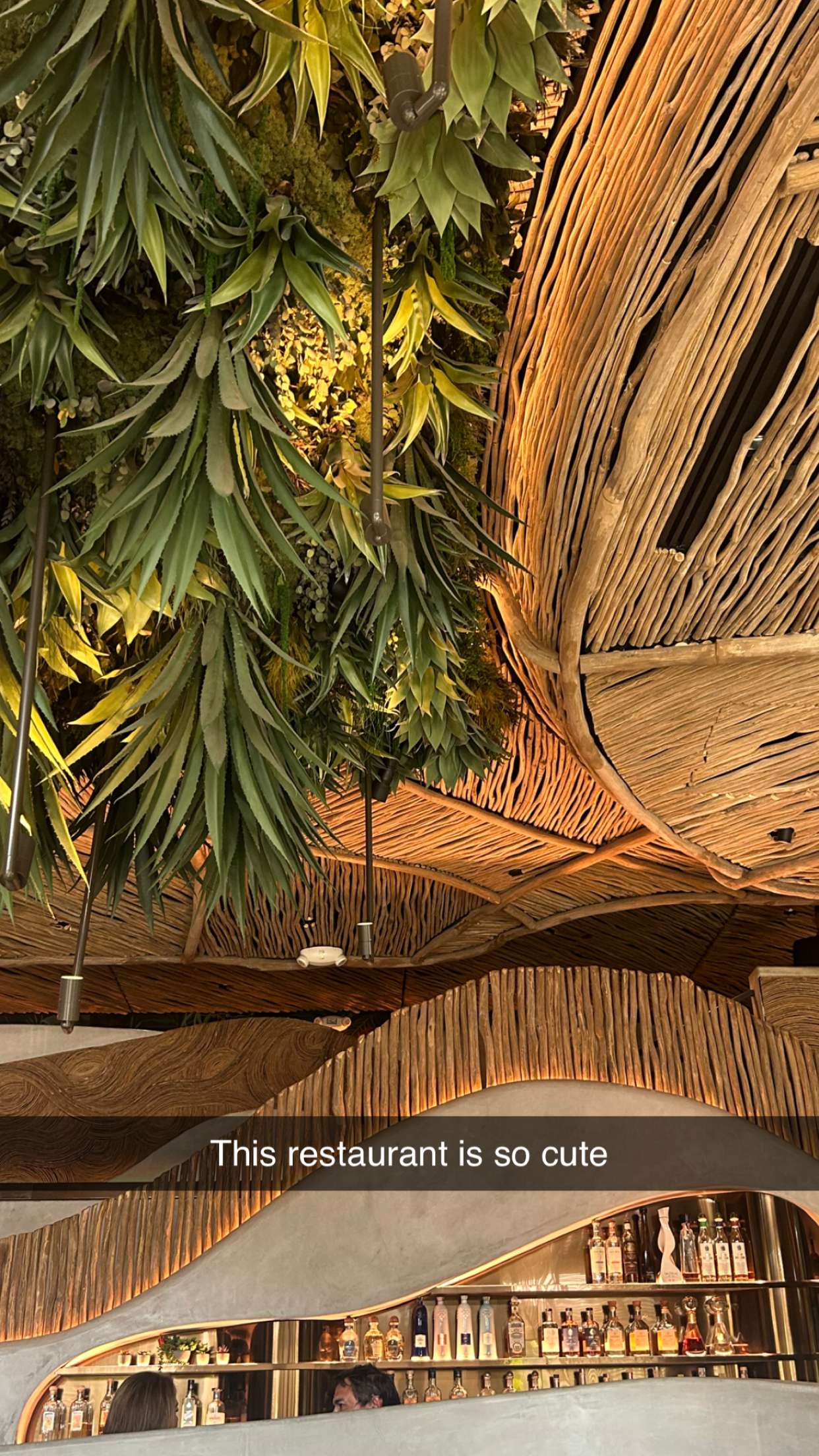 soph4ocean snapchat image archive image