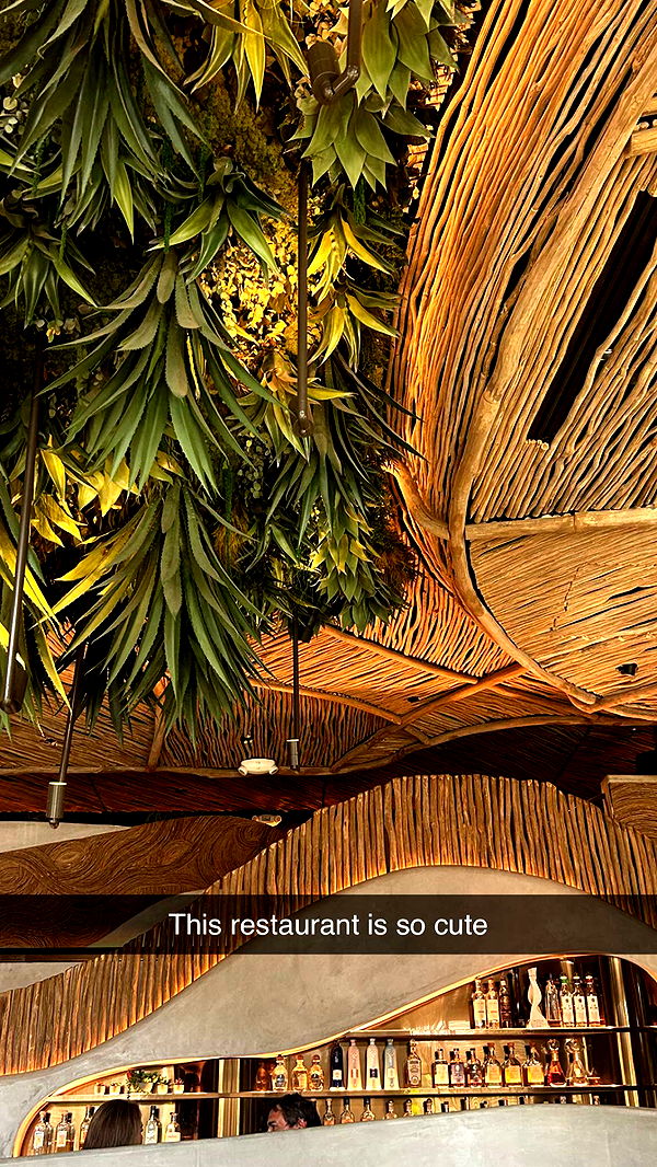 soph4ocean image ~ Altpins