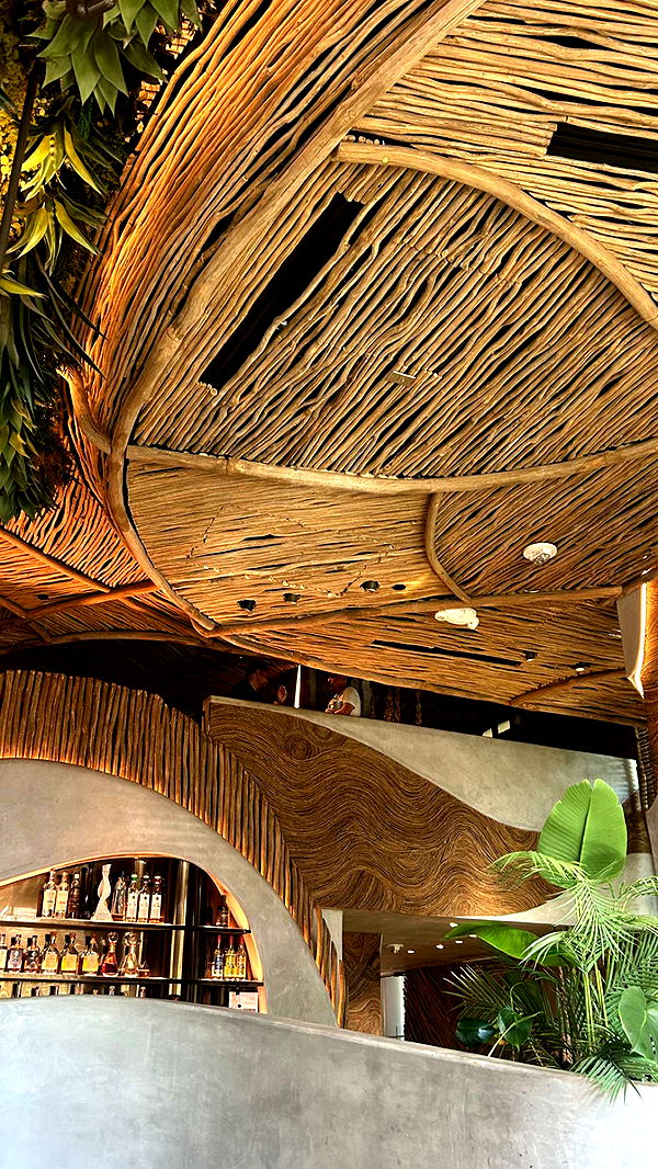 soph4ocean image ~ Altpins