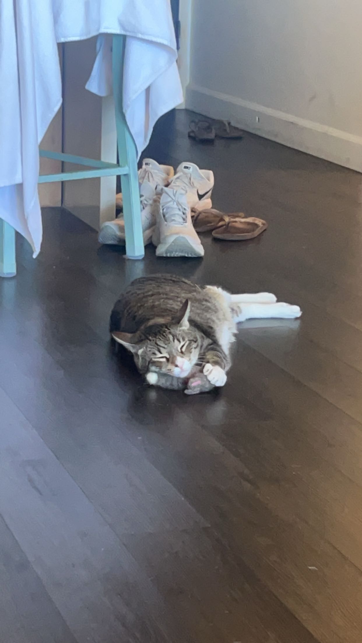 soph4ocean snapchat image archive image