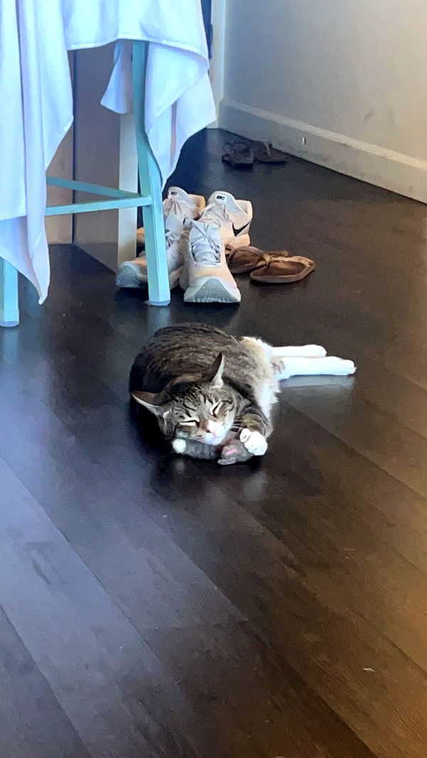 soph4ocean image ~ Altpins