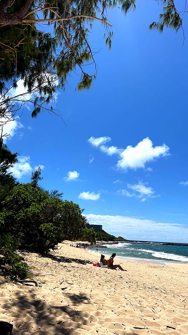 soph4ocean image ~ Altpins