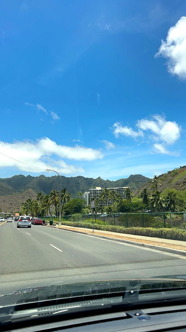 soph4ocean image ~ Altpins