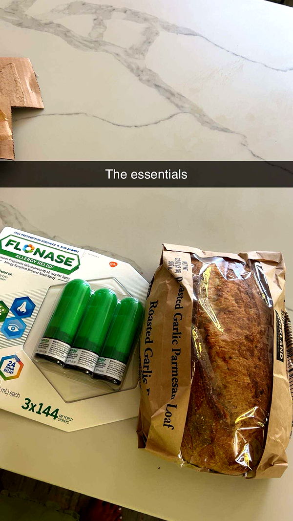 soph4ocean image ~ Altpins