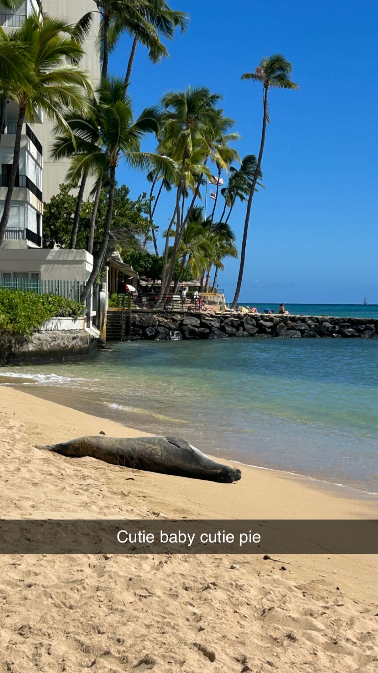 soph4ocean snapchat image archive image