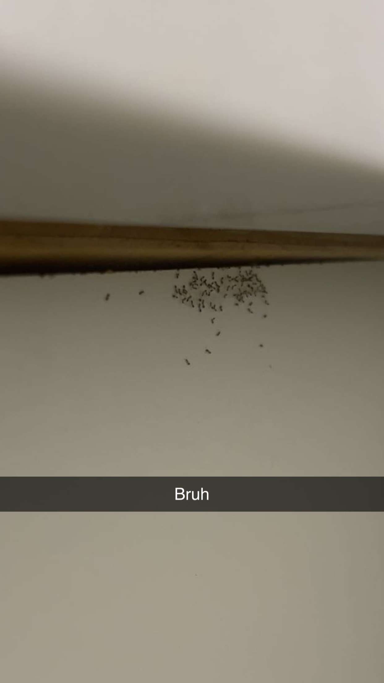 soph4ocean snapchat image archive image