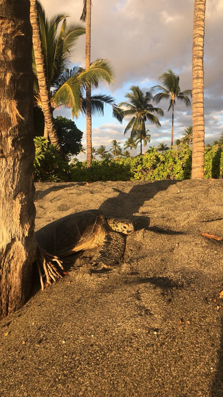 soph4ocean snapchat image archive image