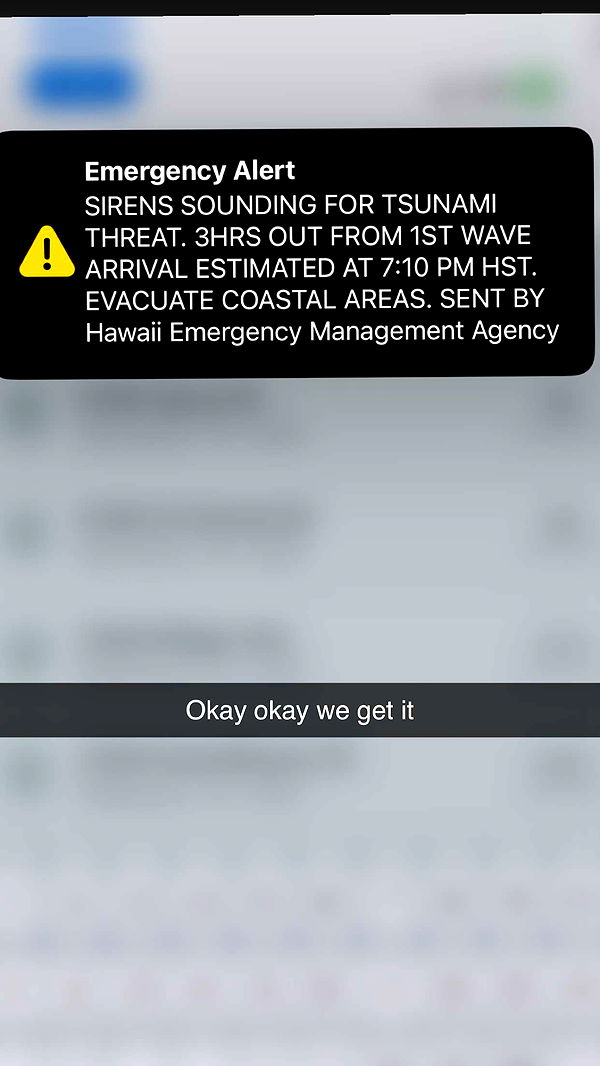 soph4ocean image ~ Altpins