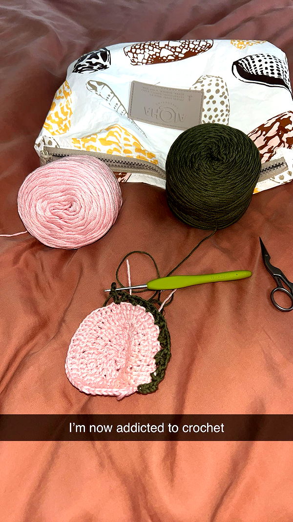 soph4ocean image ~ Altpins