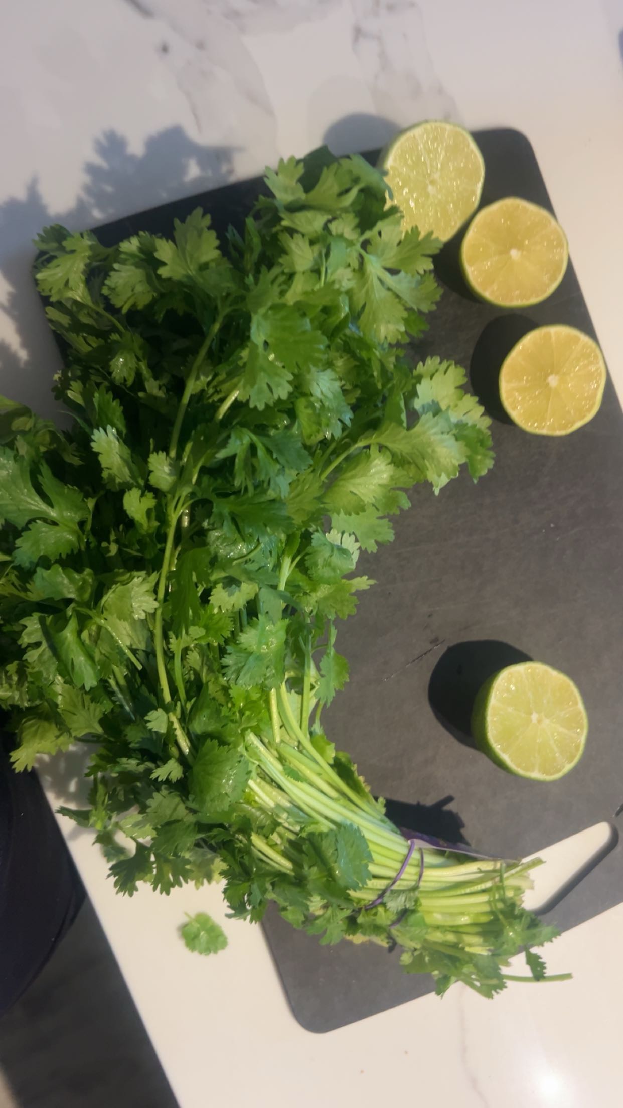 soph4ocean snapchat image archive image