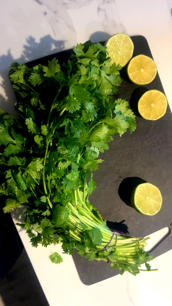 soph4ocean image ~ Altpins