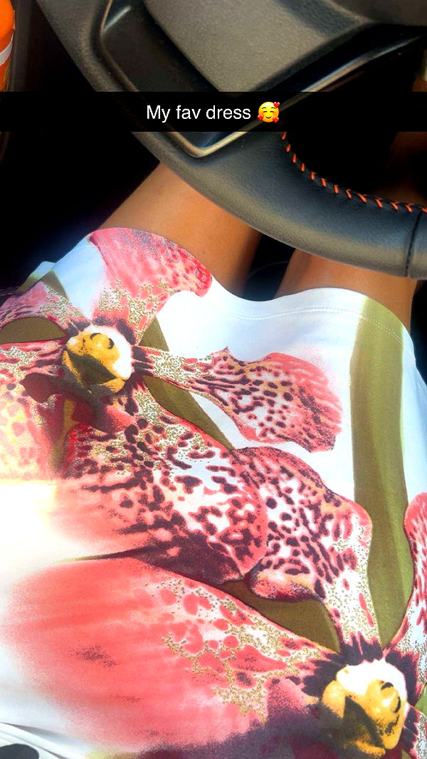 soph4ocean image ~ Altpins