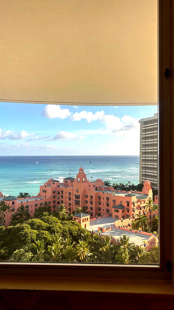 soph4ocean image ~ Altpins