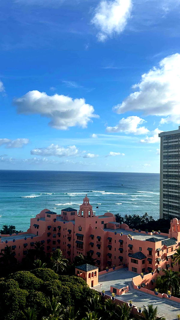 soph4ocean image ~ Altpins