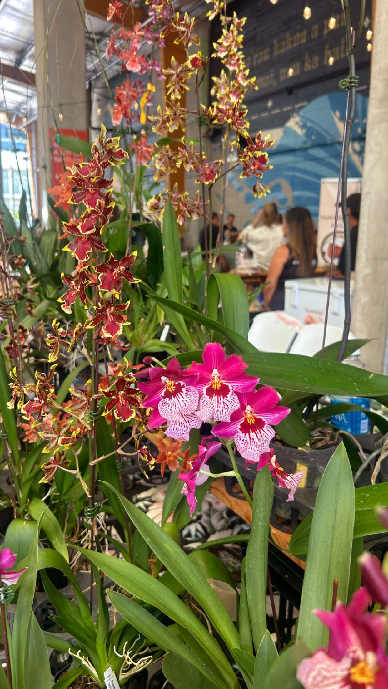 soph4ocean snapchat image archive image