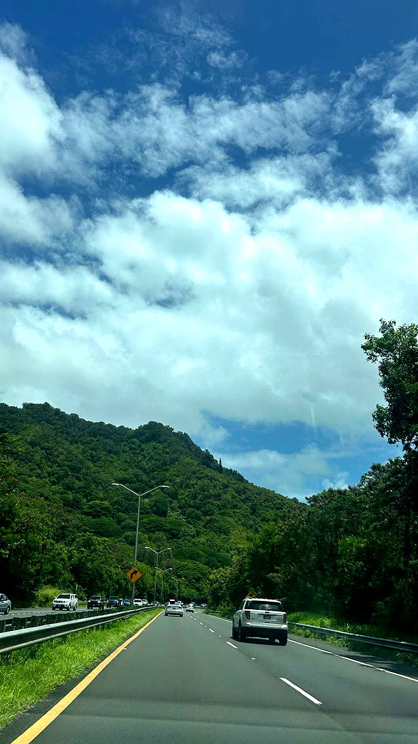 soph4ocean image ~ Altpins