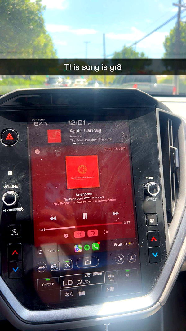 soph4ocean image ~ Altpins