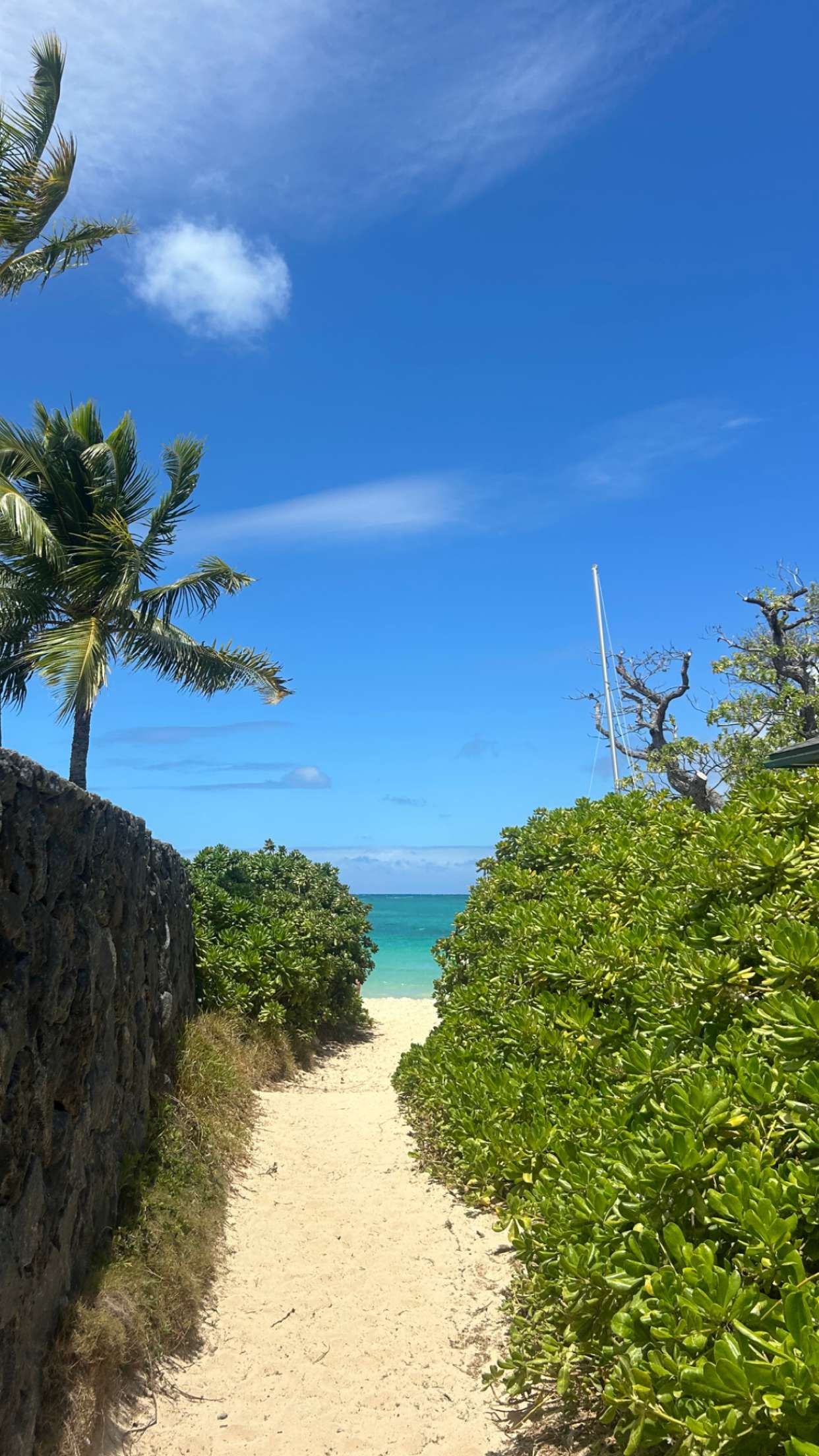 soph4ocean snapchat image archive image