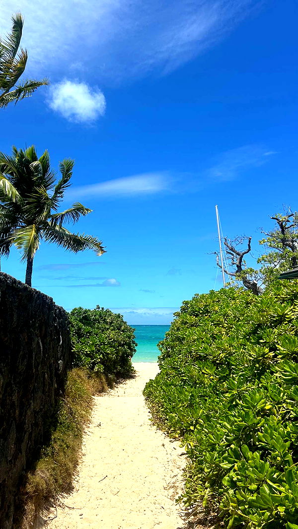 soph4ocean image ~ Altpins