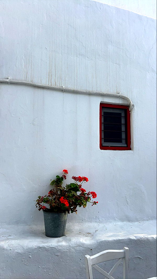 soph4ocean image ~ Altpins