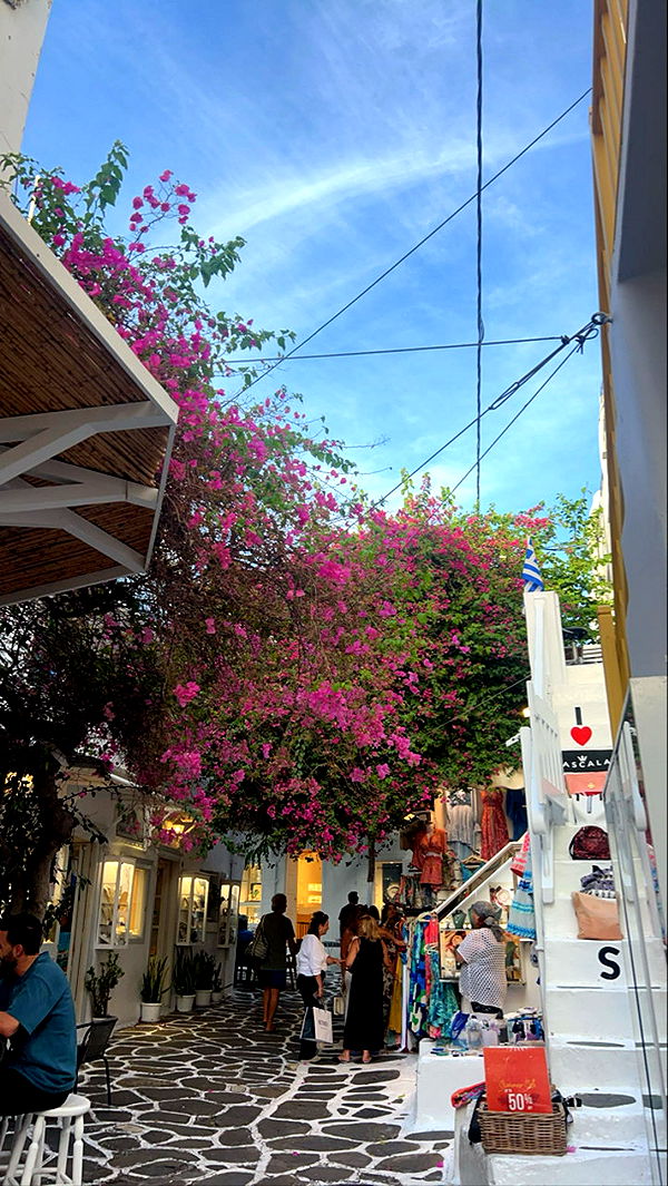 soph4ocean image ~ Altpins