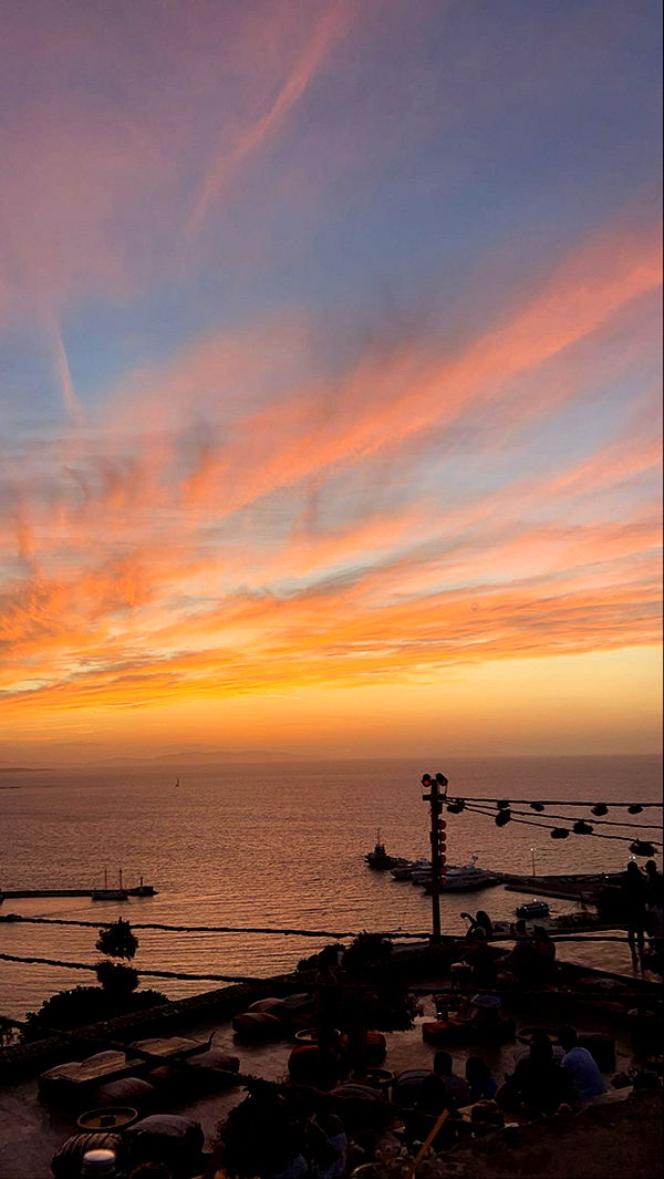 soph4ocean image ~ Altpins