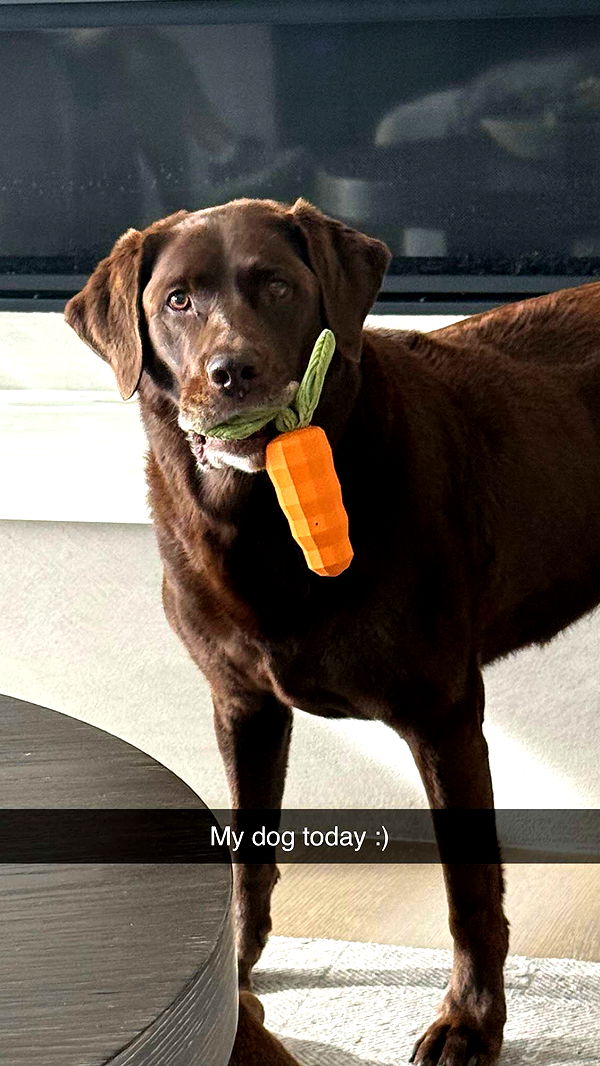 soph4ocean image ~ Altpins