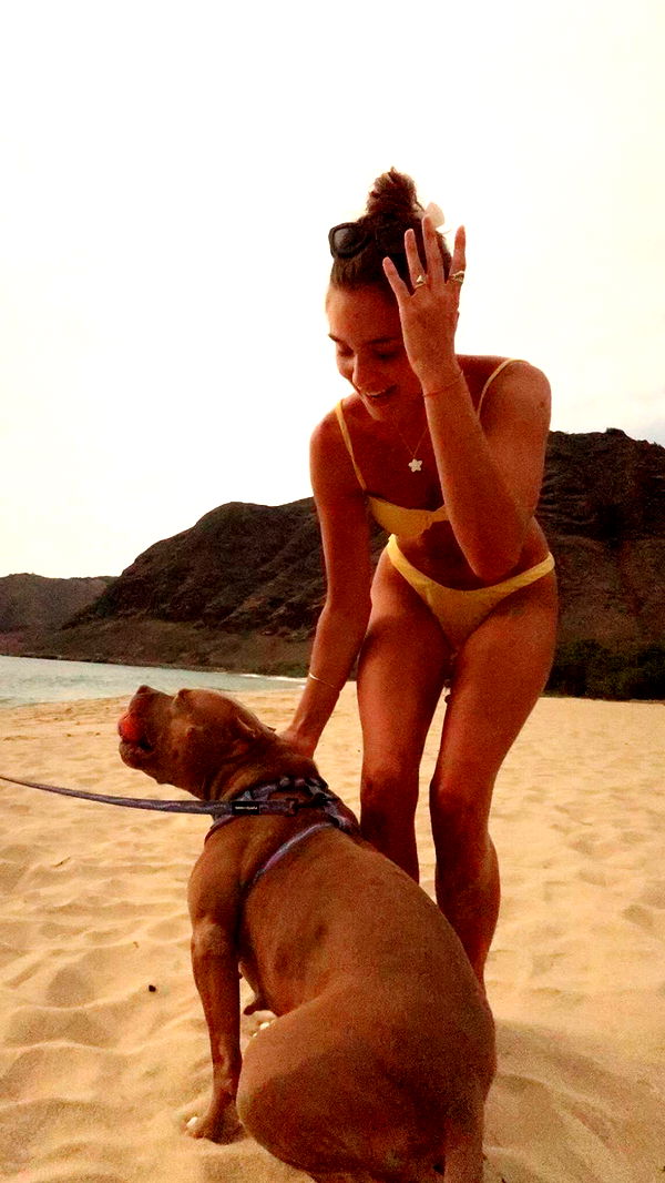 soph4ocean image ~ Altpins