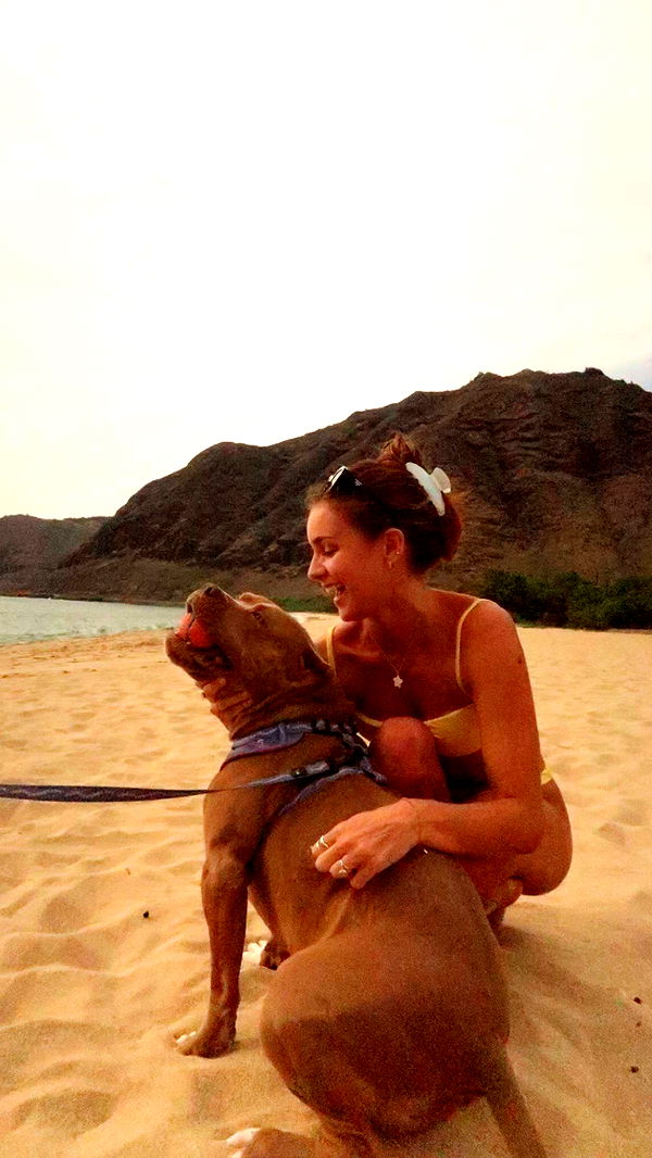 soph4ocean image ~ Altpins