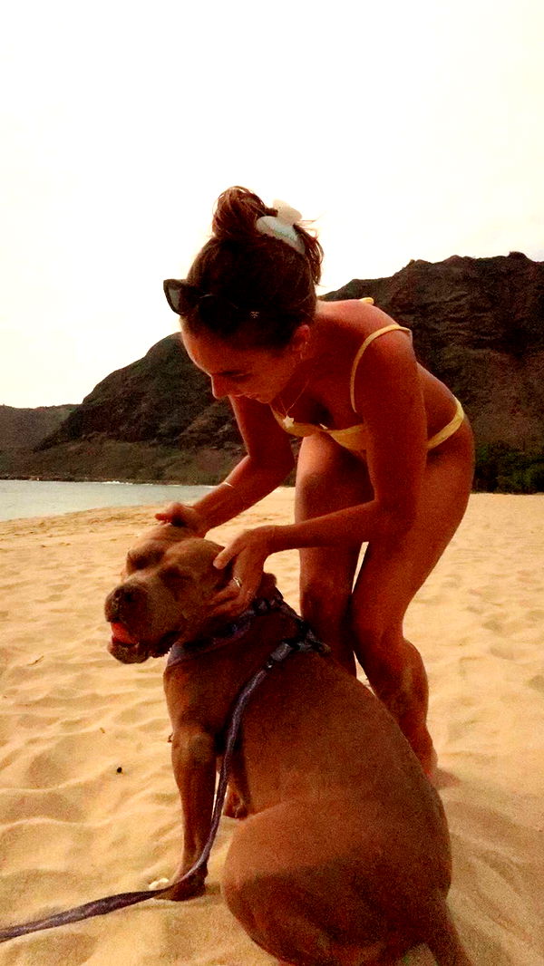 soph4ocean image ~ Altpins