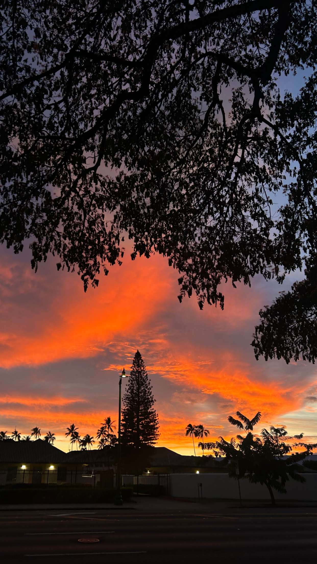 soph4ocean snapchat image archive image