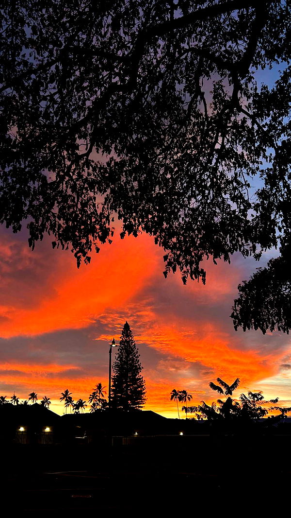 soph4ocean image ~ Altpins