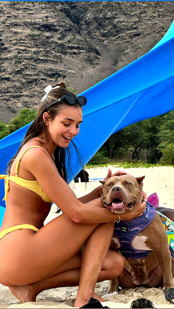 soph4ocean image ~ Altpins