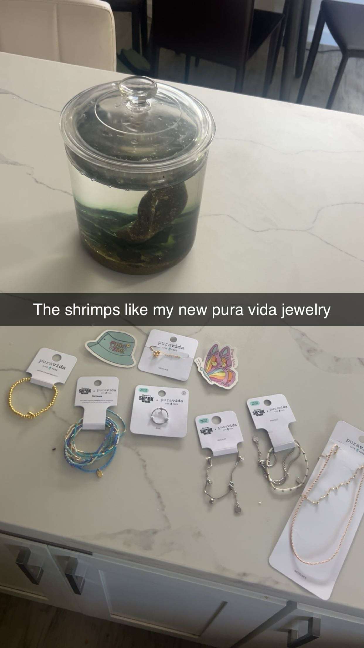 soph4ocean snapchat image archive image