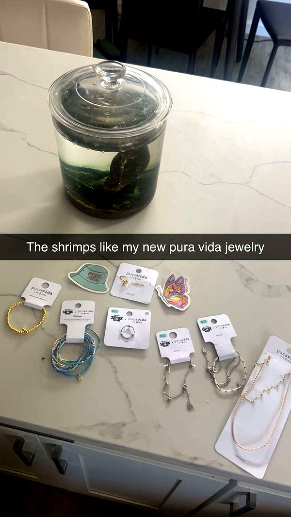 soph4ocean image ~ Altpins