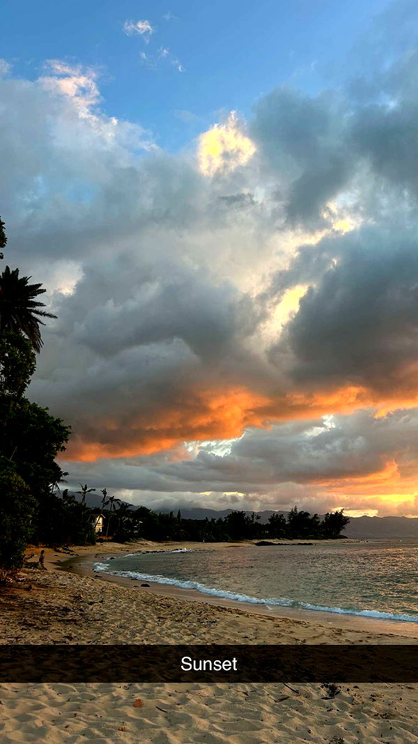 soph4ocean image ~ Altpins