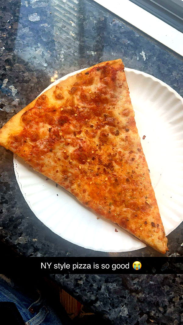 soph4ocean image ~ Altpins