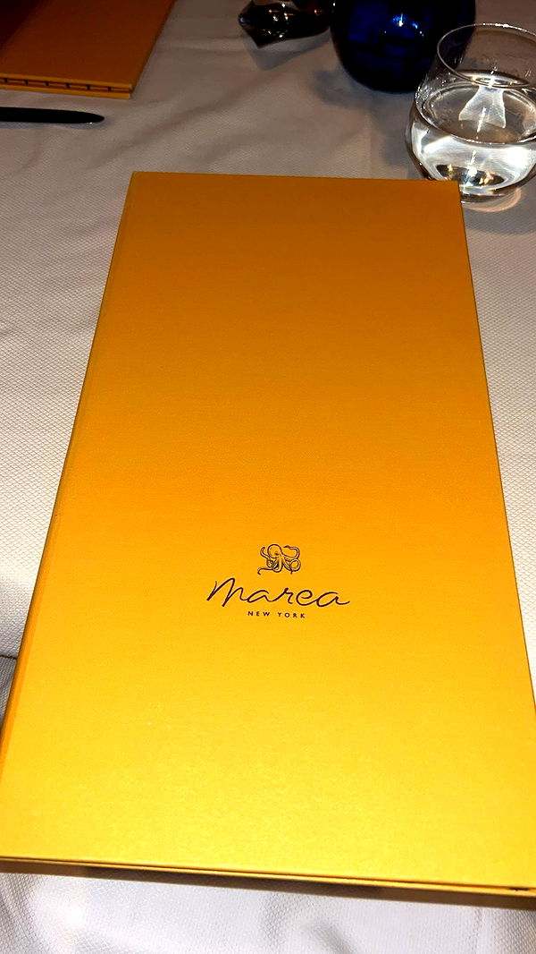 soph4ocean image ~ Altpins