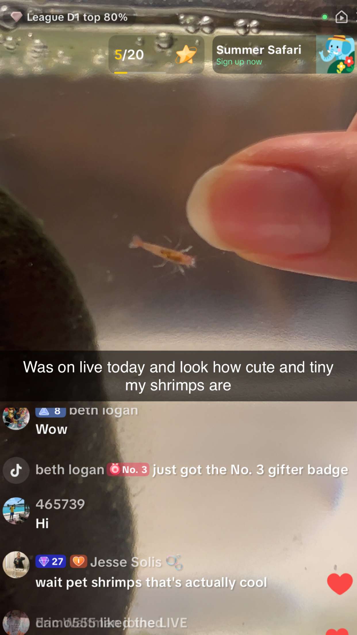 soph4ocean snapchat image archive image