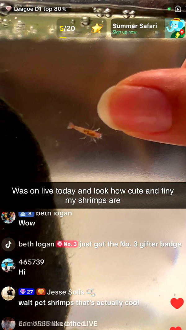 soph4ocean image ~ Altpins