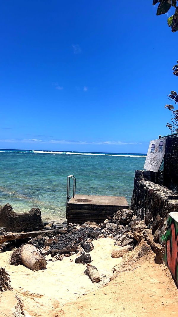 soph4ocean image ~ Altpins