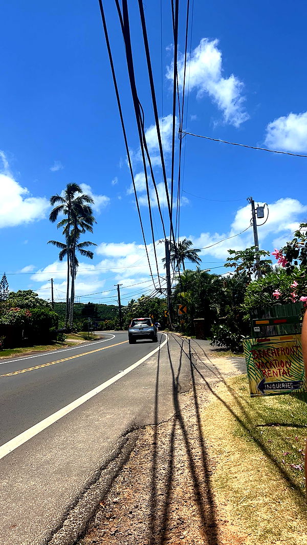 soph4ocean image ~ Altpins