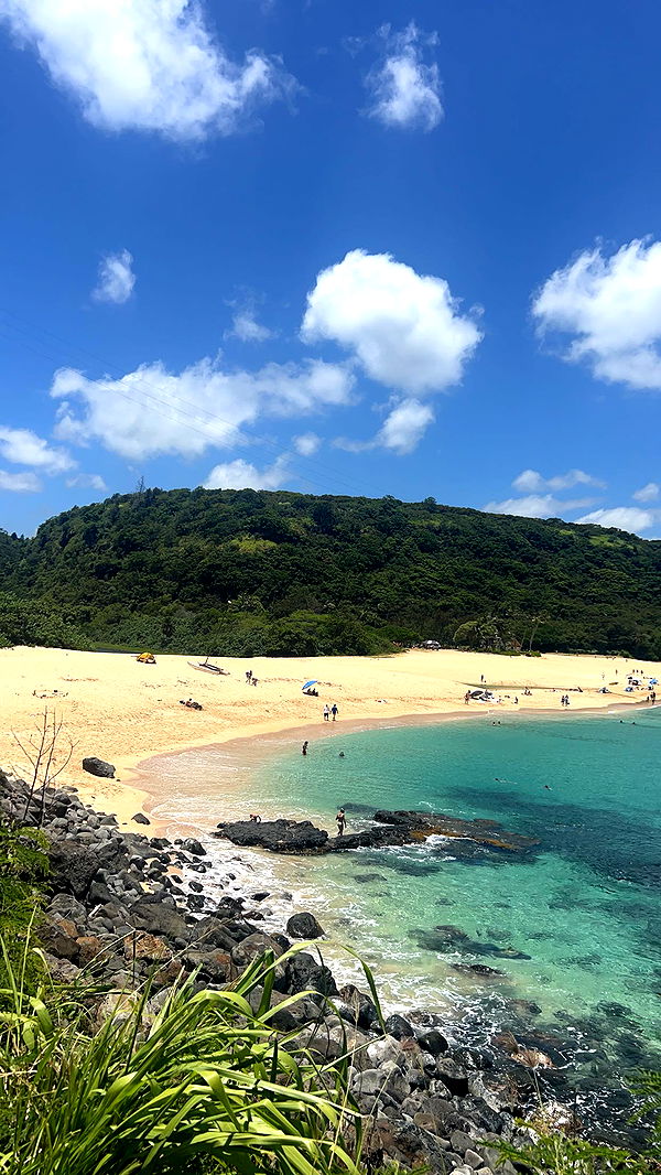 soph4ocean image ~ Altpins