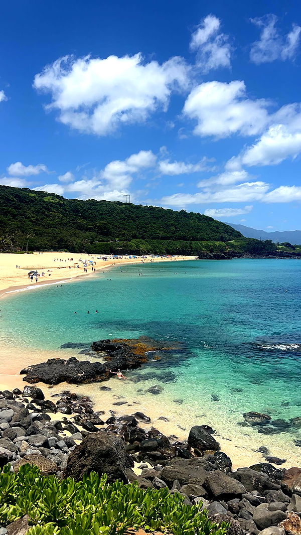 soph4ocean image ~ Altpins