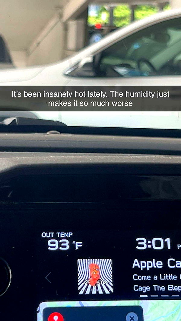 soph4ocean image ~ Altpins