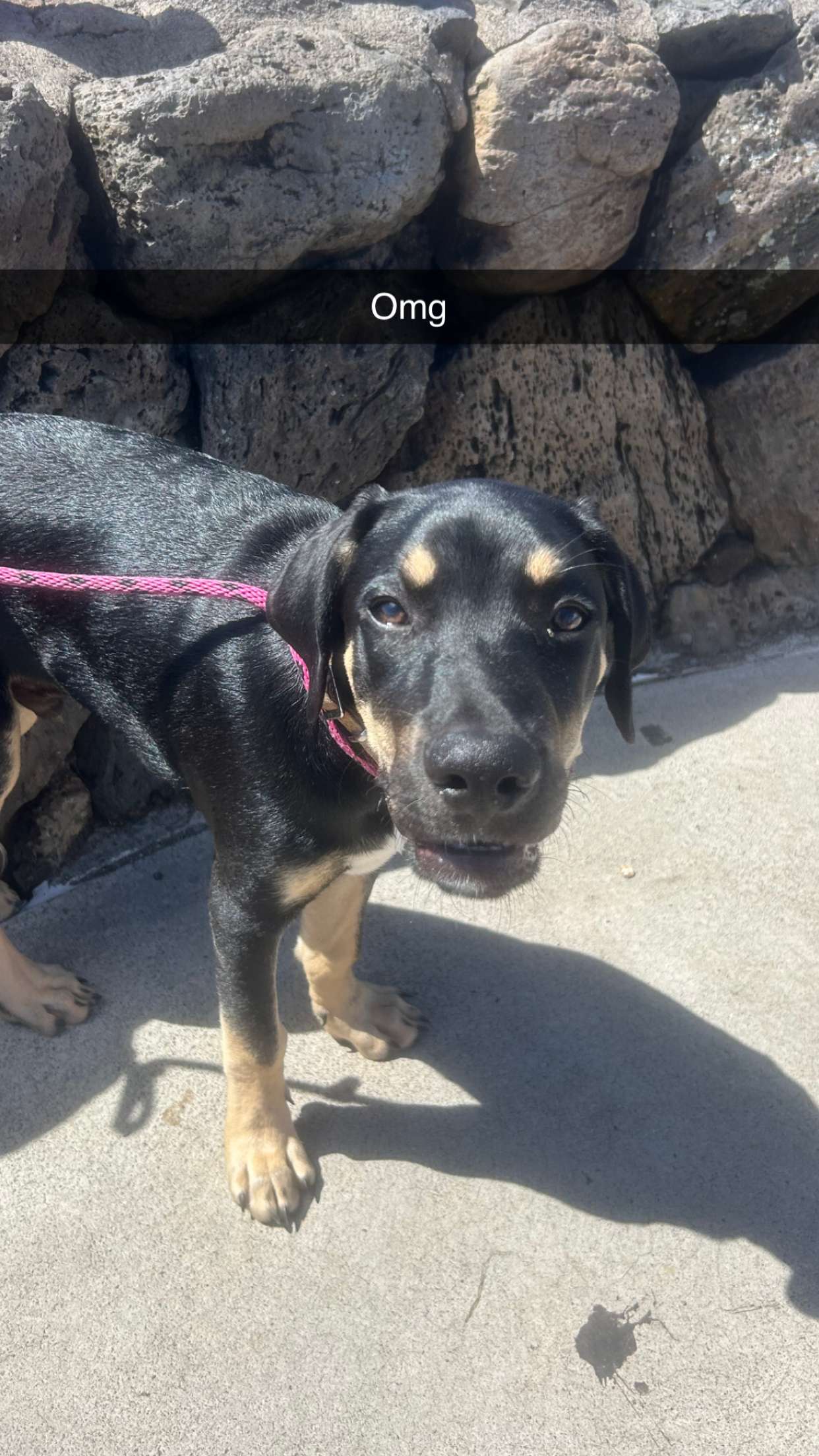 soph4ocean snapchat image archive image